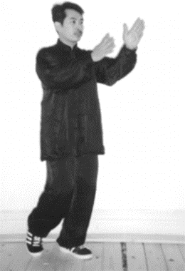 tai chi in lyminghton